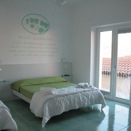 Praja Vecchia Bed & Breakfast Praia a Mare Eksteriør bilde